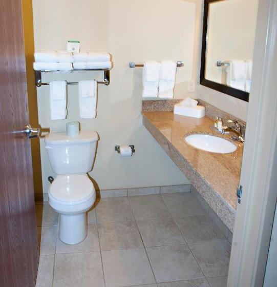 标准间, Cobblestone Inn & Suites   Langdon