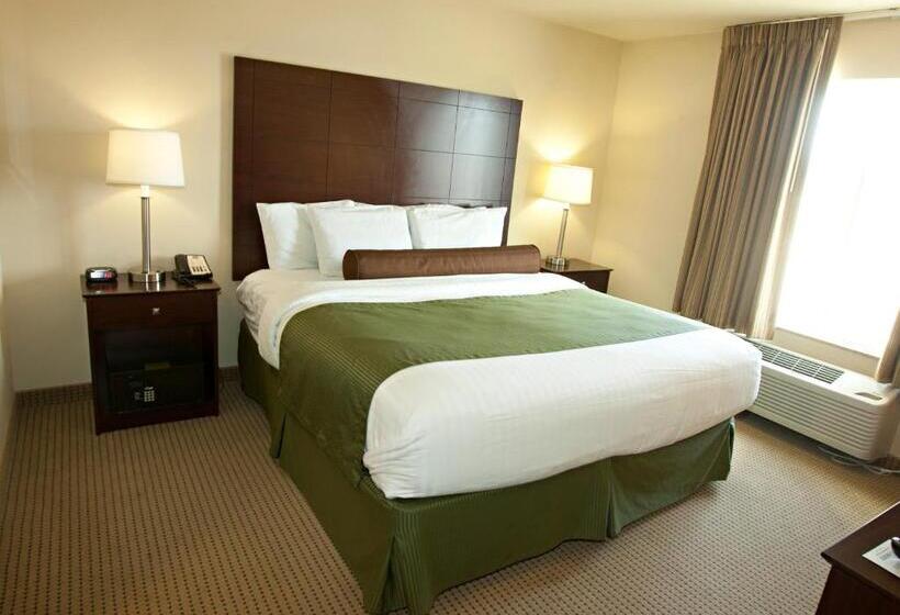 带大床的标准间, Cobblestone Inn & Suites   Langdon