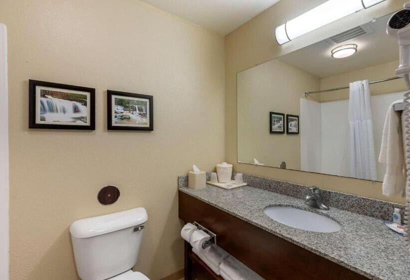 Стандартный Номер Кровать Кинг, Comfort Inn & Suites Marion I57