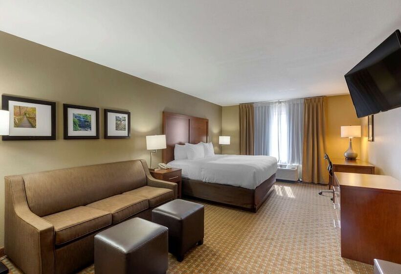 Люкс Адаптированный для Инвалидов, Comfort Inn & Suites Marion I57