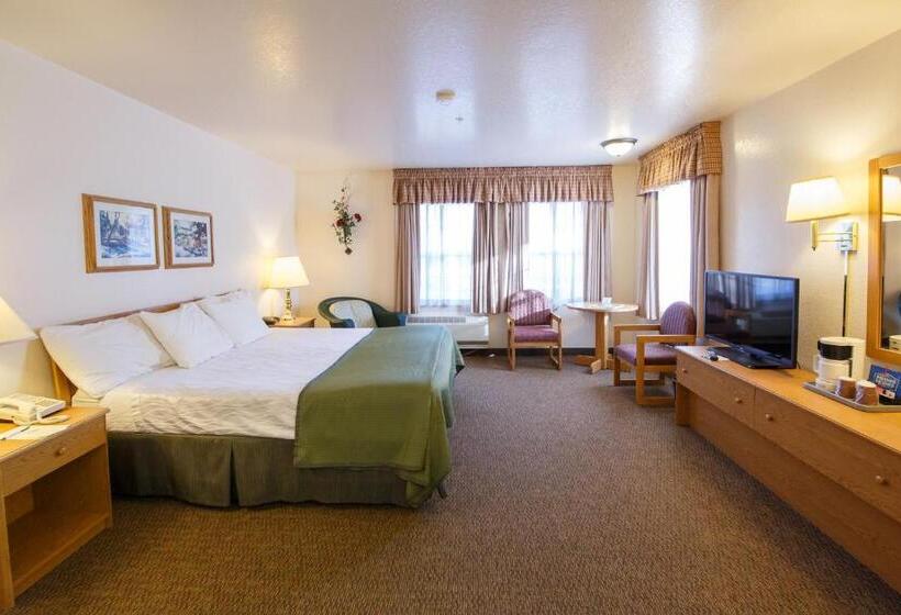 스위트 킹사이즈 침대, Murphys Inn Motel