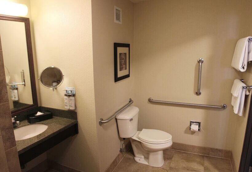 Люкс Адаптированный для Инвалидов, Holiday Inn Eau Claire South I 94, An Ihg