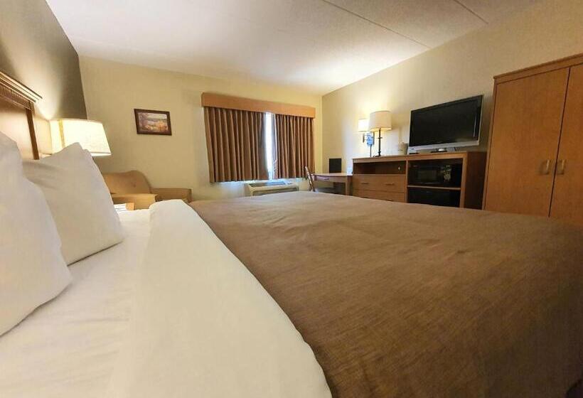 Стандартный Номер Кровать Кинг, Amerivu Inn And Suites  Waconia