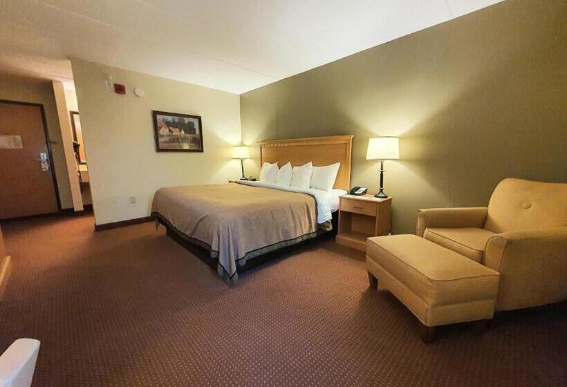 Стандартный Номер Кровать Кинг, Amerivu Inn And Suites  Waconia