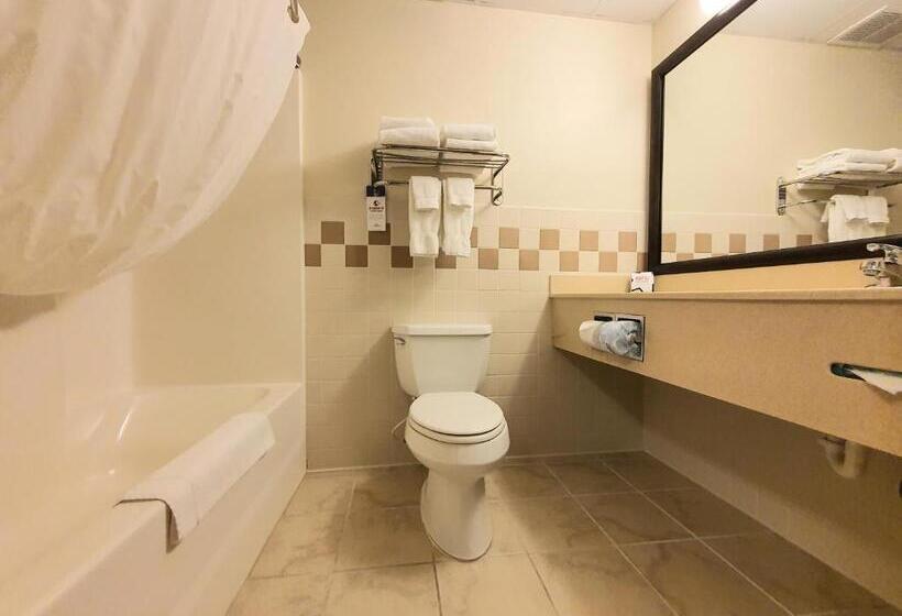Президентский Люкс, Amerivu Inn And Suites  Waconia