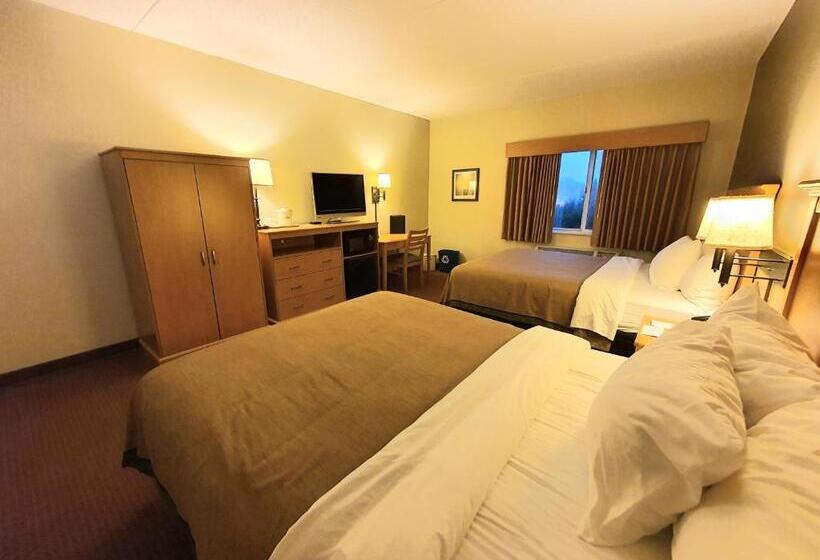 Номер Стандарт Кровать Квин Адаптированный для Инвалидов, Amerivu Inn And Suites  Waconia
