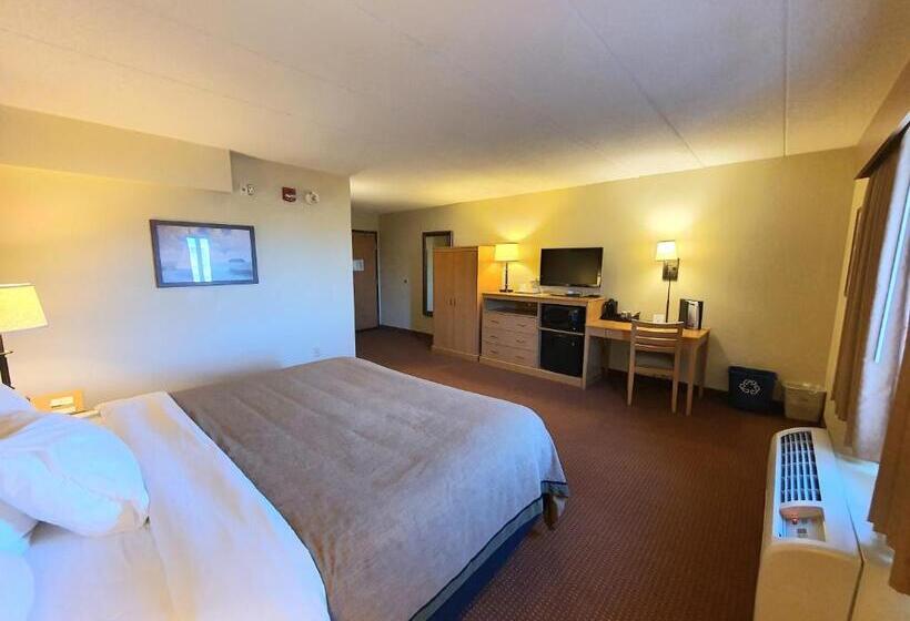 Номер Стандарт Кровать Кинг Адаптированный для Инвалидов, Amerivu Inn And Suites  Waconia