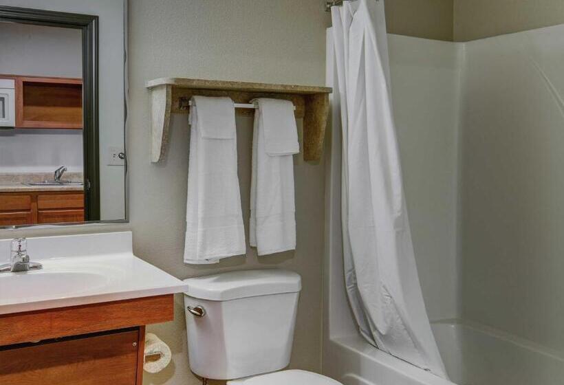 Номер Стандарт 2 Двуспальные Кровати, Woodspring Suites Topeka