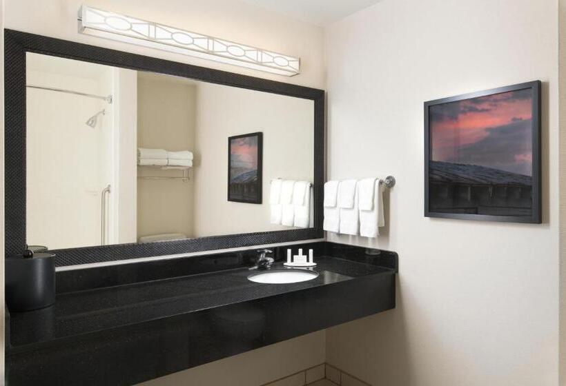 带大床的标准工作室, Fairfield By Marriott Inn & Suites Knoxville Turkey Creek