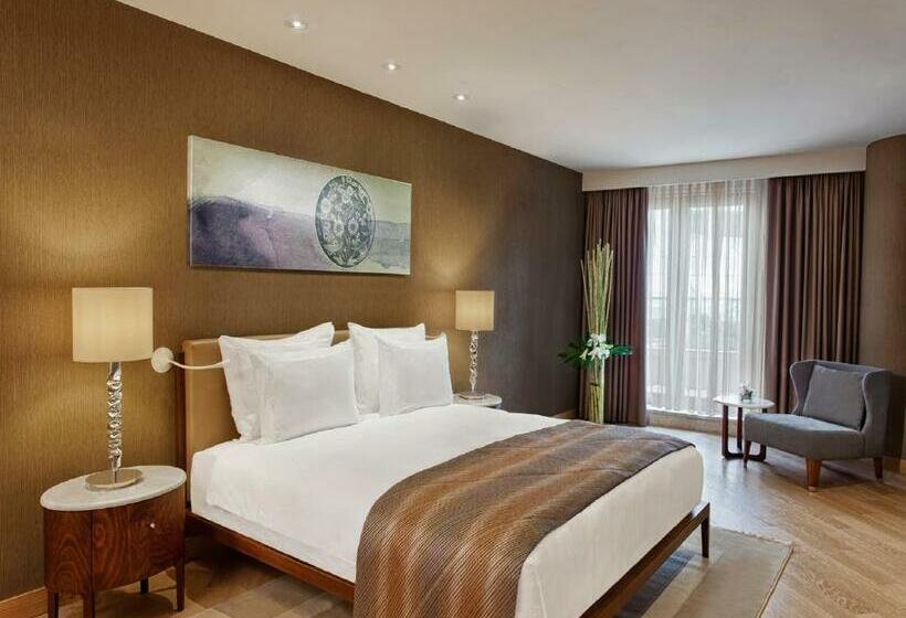 １ルームプレステージアパートメント, Cvk Park Bosphorus Hotel Istanbul