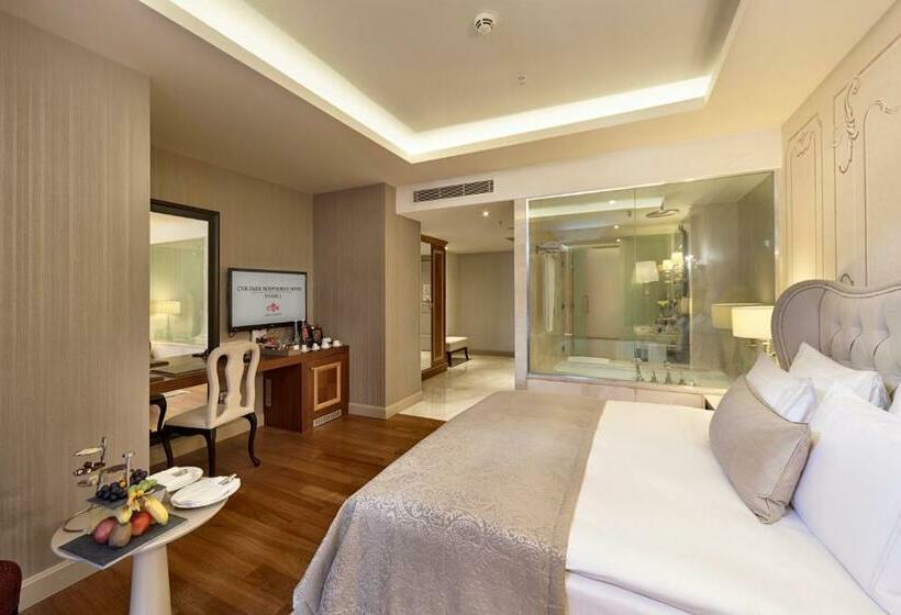 デラックススイート, Cvk Park Bosphorus Hotel Istanbul