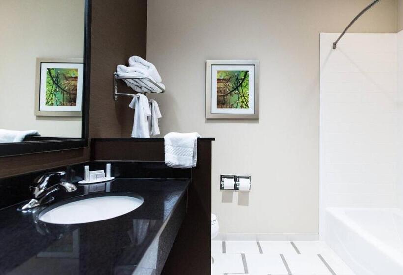 スタンダードルーム, Fairfield Inn And Suites By Marriott Natchitoches