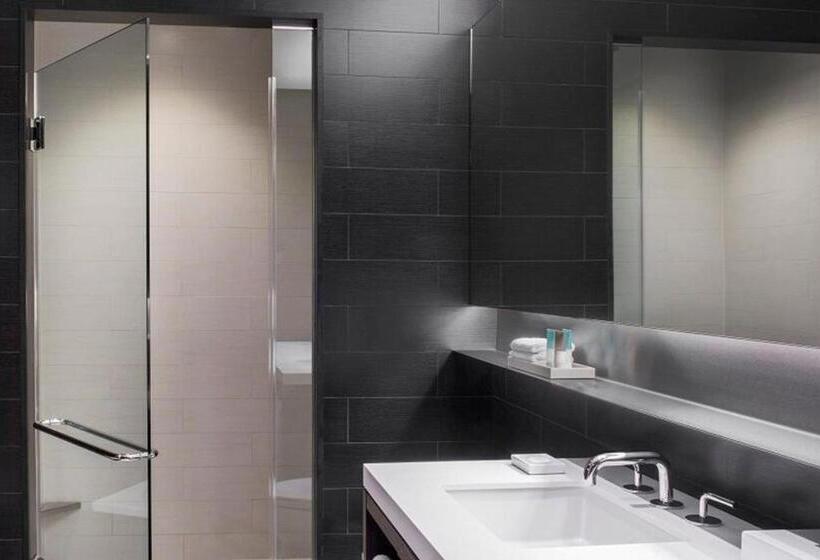 장애인을 위한 스탠다드 룸, Hyatt Centric Times Square New York