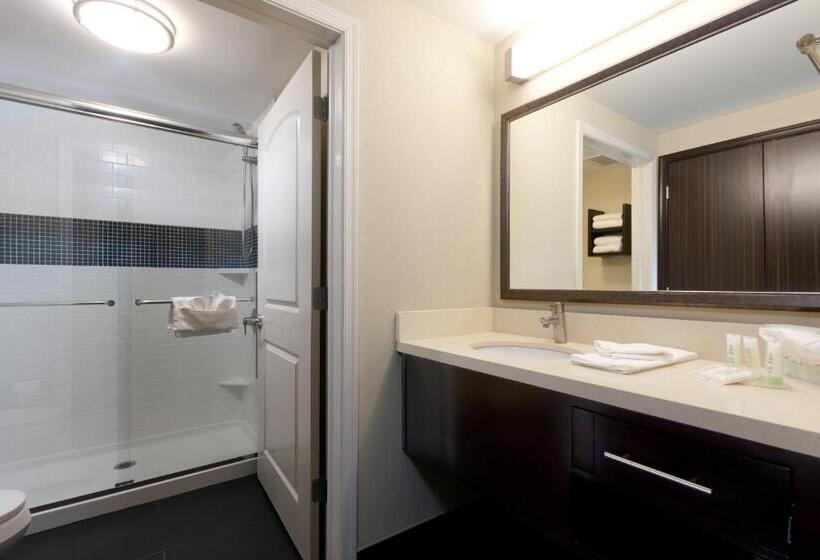带大床的标准工作室, Staybridge Suites Buffalo Amherst, An Ihg