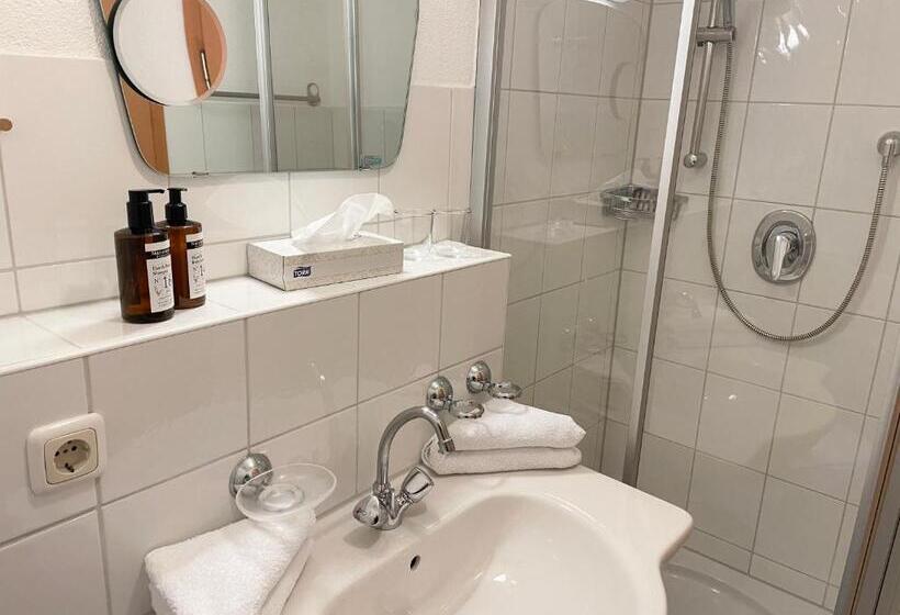 Классический Номер, Posthotel Lechtal
