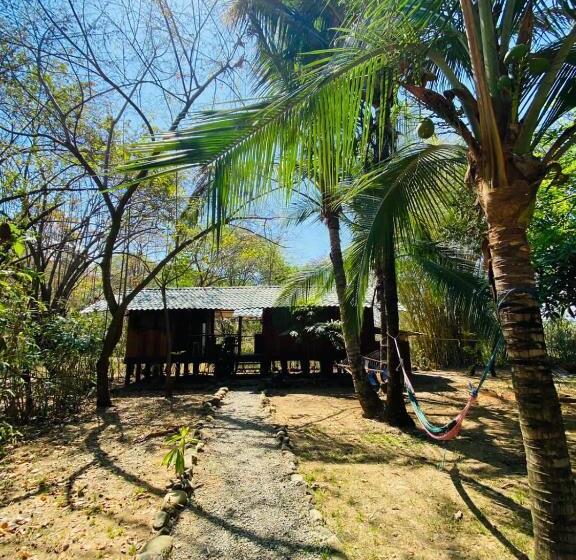 공동 객실, Luminosa Uvita Hostel