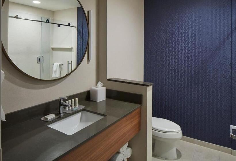 Номер Стандарт, Fairfield Inn & Suites Seneca Clemson Univ Area