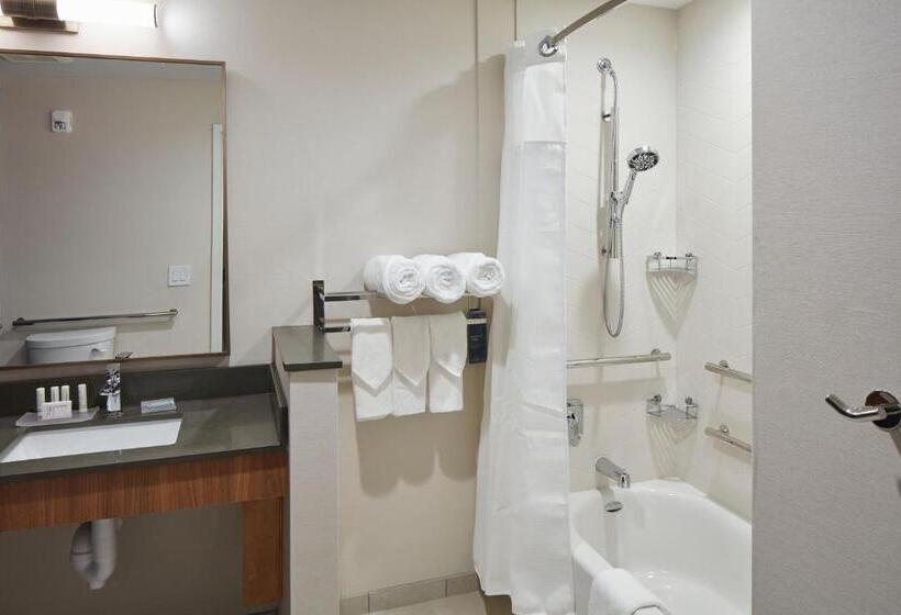 Стандартный Номер Кровать Кинг, Fairfield Inn & Suites Seneca Clemson Univ Area