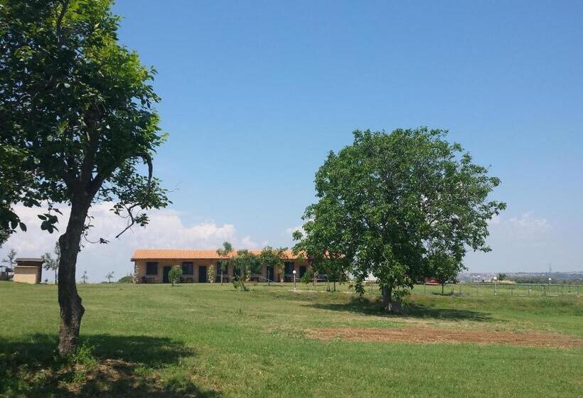 Номер Стандарт, Agriturismo San Matteo