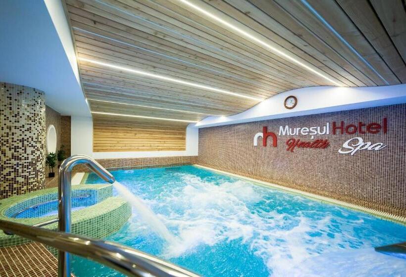 Номер Стандарт с доступом в Спа, Muresul Health Spa
