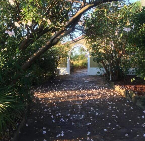 Номер Стандарт Внутренний, Hôtel Paradis
