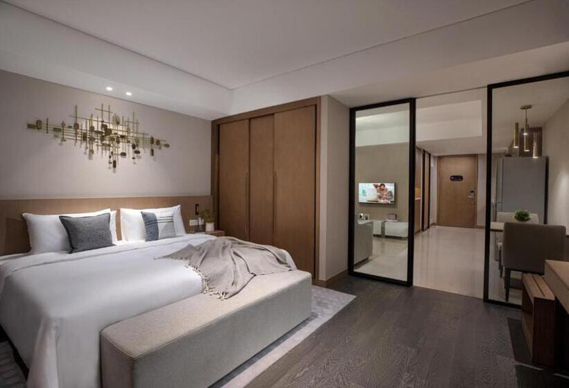 Апартаменты Deluxe 1 Спальня, Citadines New District Wuxi