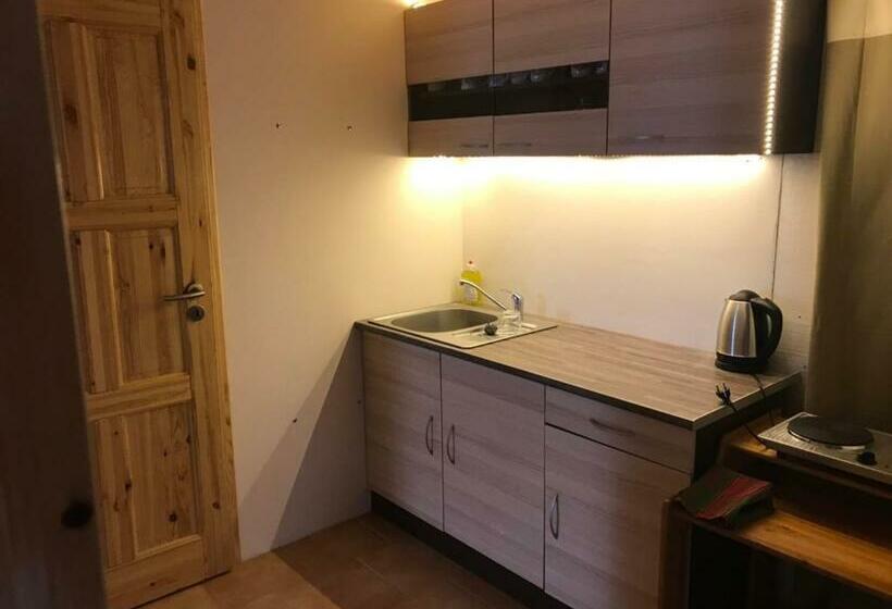 Апартаменты 1 Спальня Нижний Этаж, Apartmány Diana
