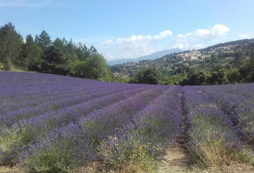 Номер Стандарт Вид на Бассейн, Le Petit Ventoux