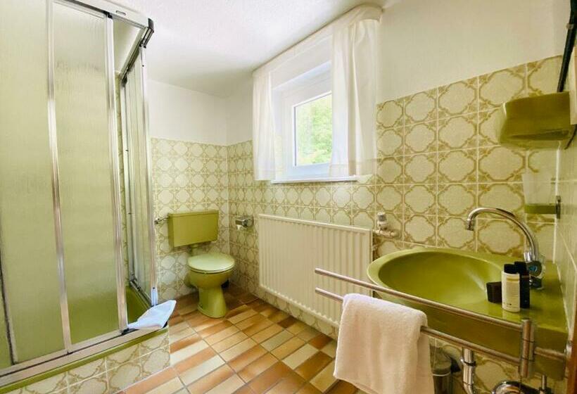 Номер Стандарт Индивидуальный, Landhotel Edersee