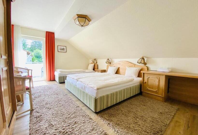 Номер Стандарт Трехместный, Landhotel Edersee
