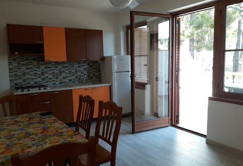 خانه 1 خوابه, Residence Olimpia