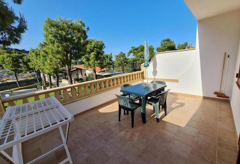 خانه 1 خوابه, Residence Olimpia
