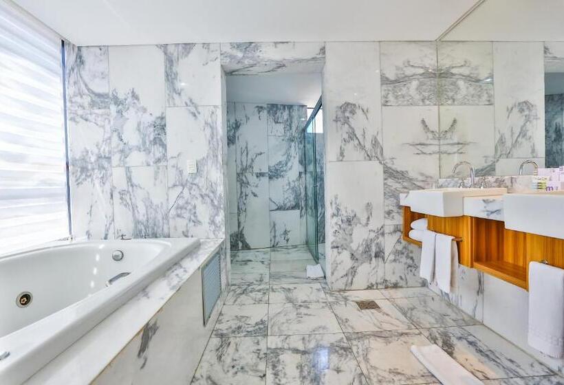 Suite Executiva, Oft Alfre Hotels   Goiânia