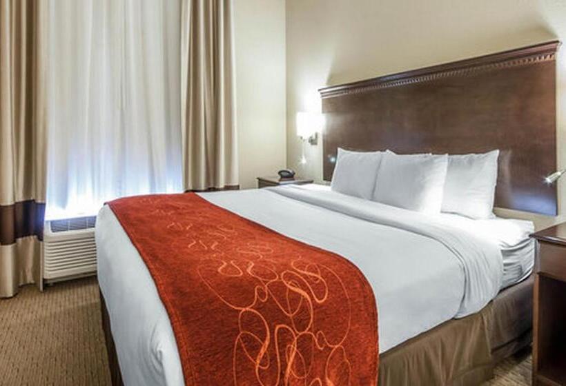 Люкс Executive Кровать Кинг, Comfort Suites Marietta Parkersburg