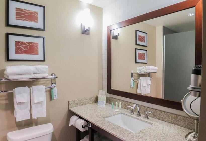 Люкс Адаптированный для Инвалидов, Comfort Suites Marietta Parkersburg
