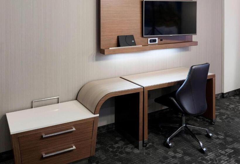 带大床的套房, Courtyard By Marriott Houston North/shenandoah