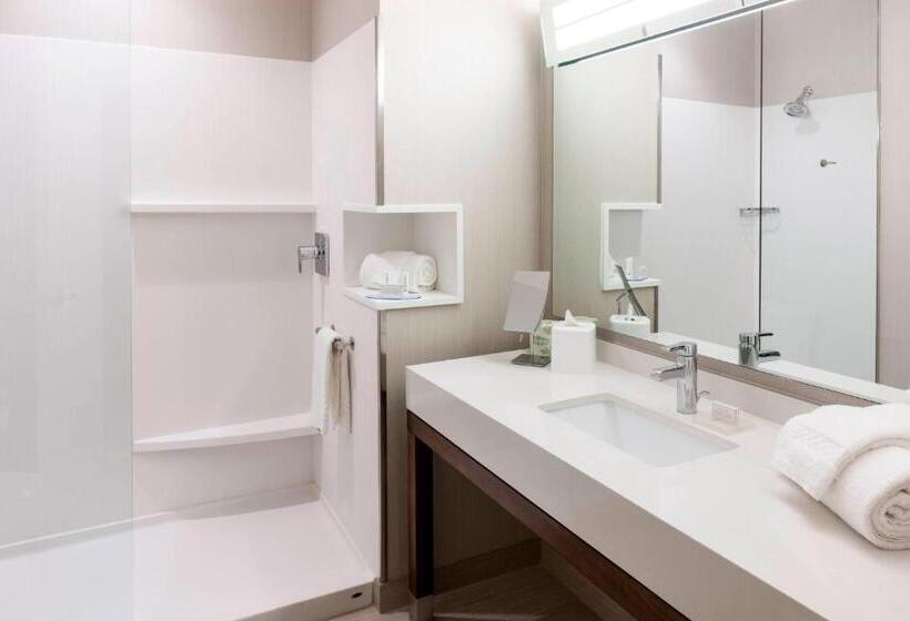 适合残疾人士使用的带超级大床的标准间, Courtyard By Marriott Houston North/shenandoah
