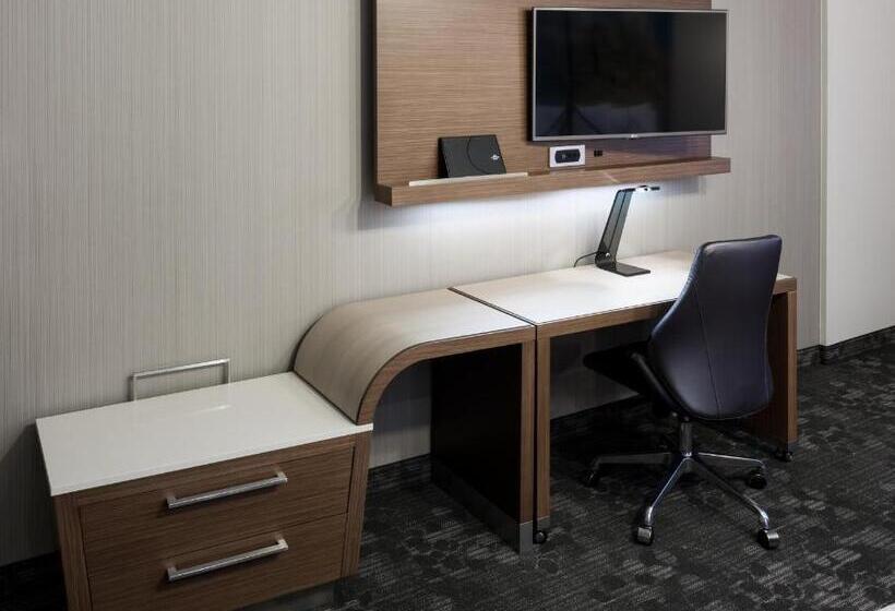 适合残疾人士使用的带超级大床的标准间, Courtyard By Marriott Houston North/shenandoah