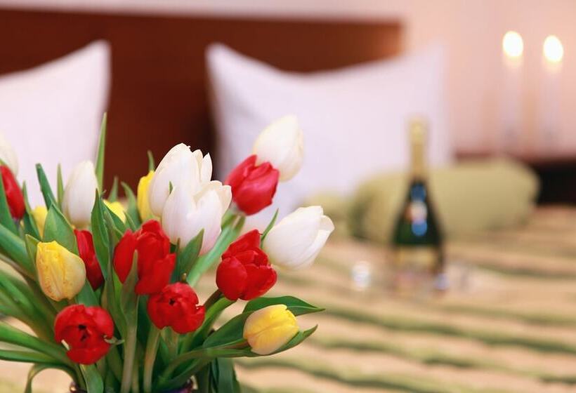 اتاق راحتی یک تخته, Central Inn Am Hauptbahnhof Pension