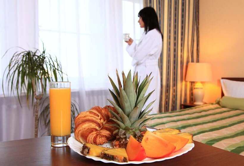 آپارتمان 2 خوابه, Central Inn Am Hauptbahnhof Pension