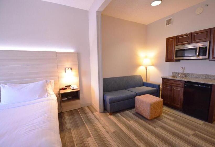 스위트 킹사이즈 침대, Holiday Inn Express Toledo Oregon, An Ihg