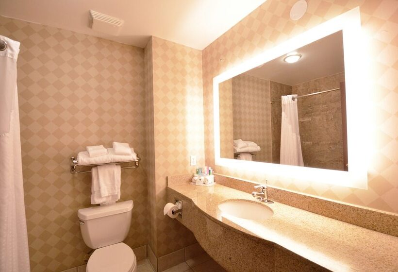 스탠다드 룸, Holiday Inn Express Toledo Oregon, An Ihg