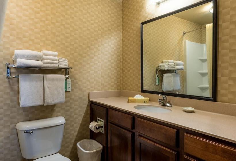 Люкс, Mainstay Suites St. Robert  Fort Leonard Wood