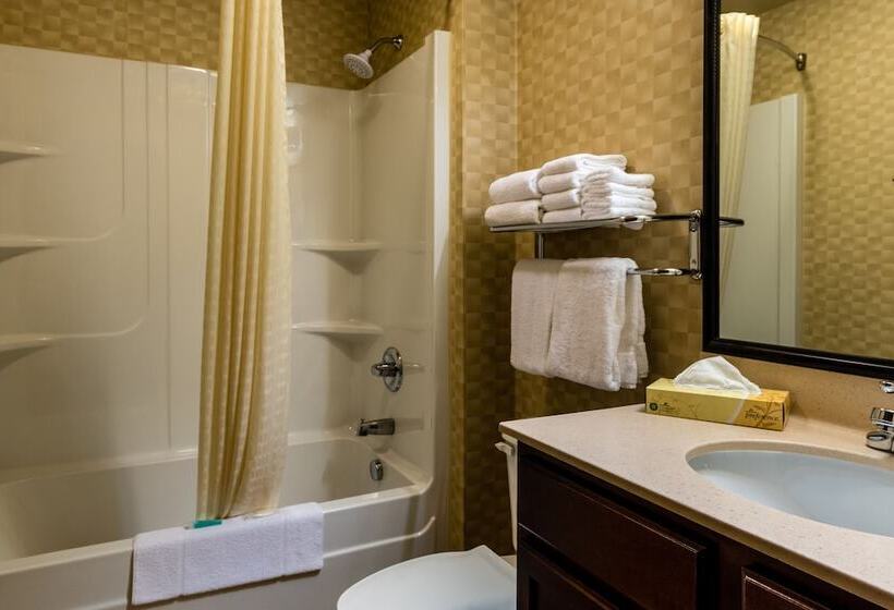 Люкс Адаптированный для Инвалидов, Mainstay Suites St. Robert  Fort Leonard Wood