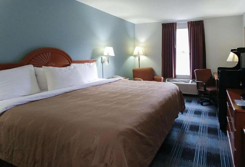 스탠다드 룸 킹사이즈 침대, Quality Inn Dublin I81