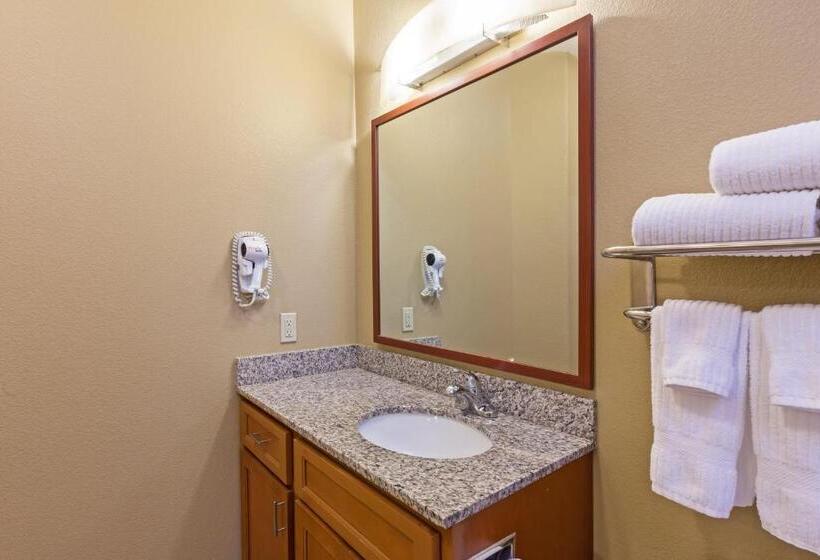 스위트, Candlewood Suites Deer Park, An Ihg