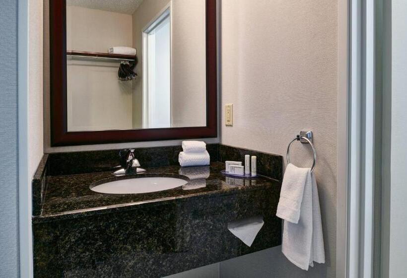 스탠다드 룸, Fairfield Inn & Suites Detroit Livonia