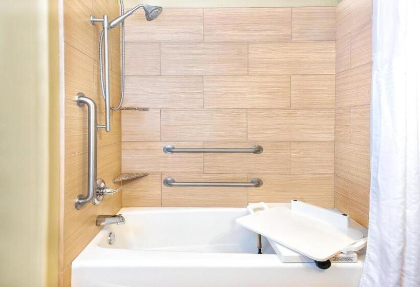 장애인을 위한 스위트, Holiday Inn Express Hotel And Suites Monahans I 20, An Ihg