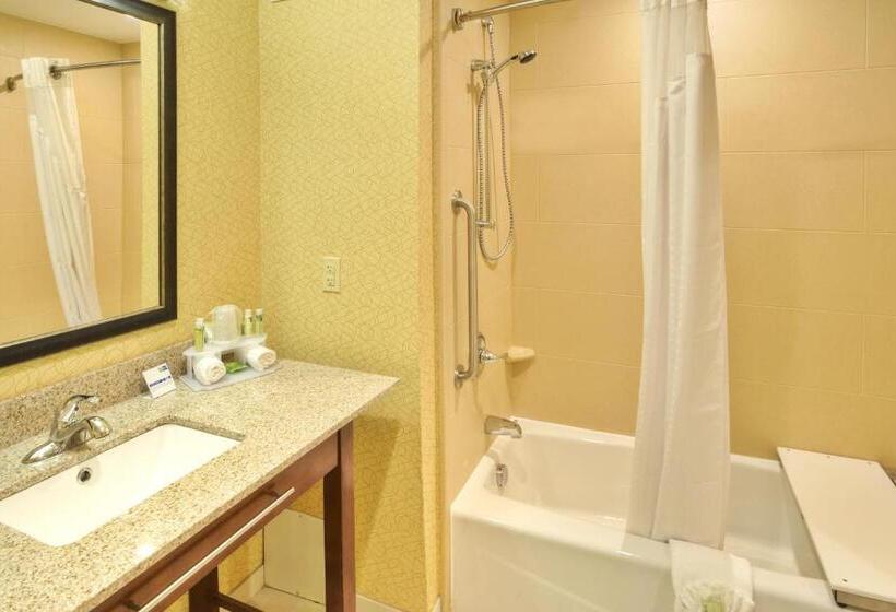 Люкс Адаптированный для Инвалидов, Holiday Inn Express Frankenmuth, An Ihg