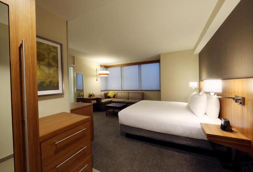 اتاق استاندارد با تخت بزرگ, Hyatt Place Flushing/lga Airport